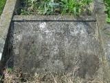 image of grave number 666242